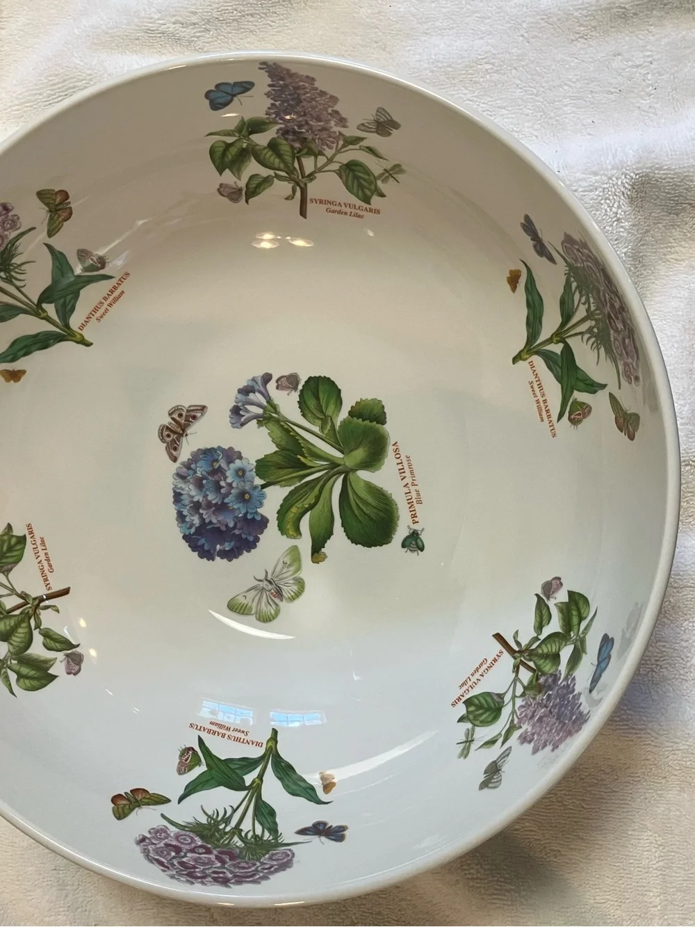 Vintage Portmeirion Botanic Garden Salad Bowl Ceramic 10.5inch diameter